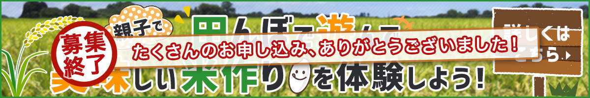 米作り体験